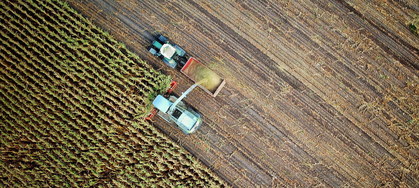 Farming the Future, Today